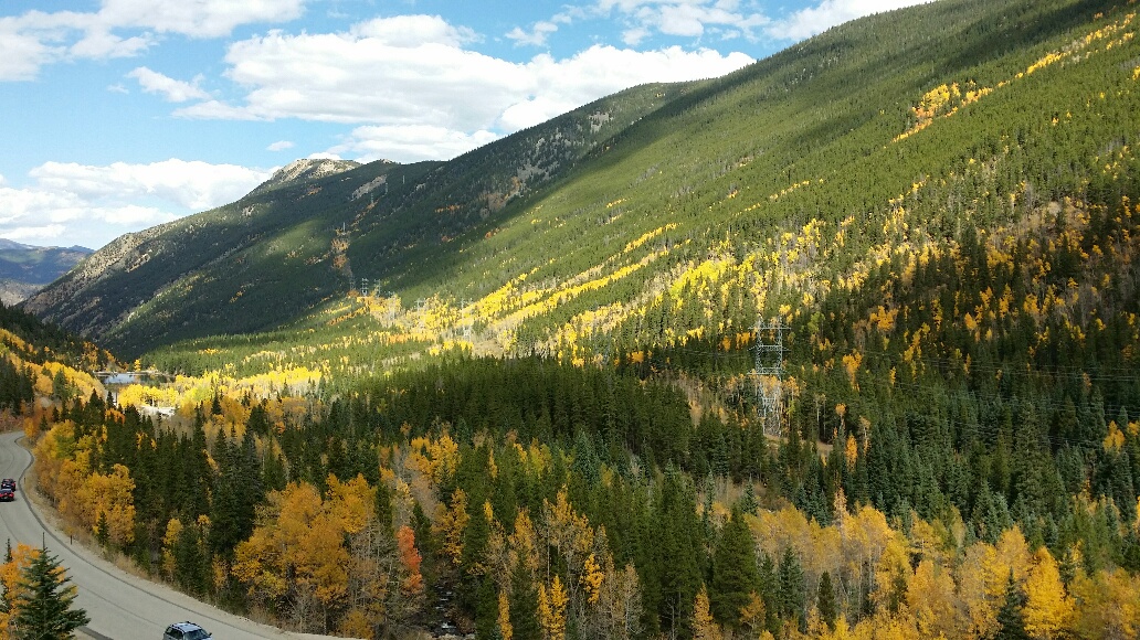 Guanella Pass is spectacular in the fall.