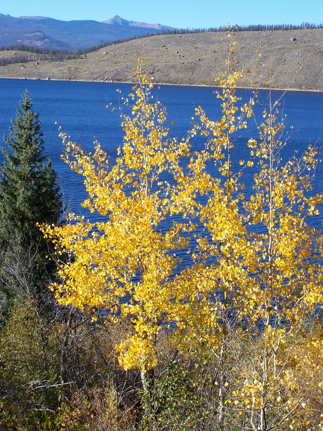 Fall colors contract with the deep blue of the reservoir.