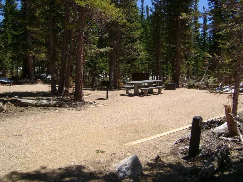 Campsite with a picnic table and grill.