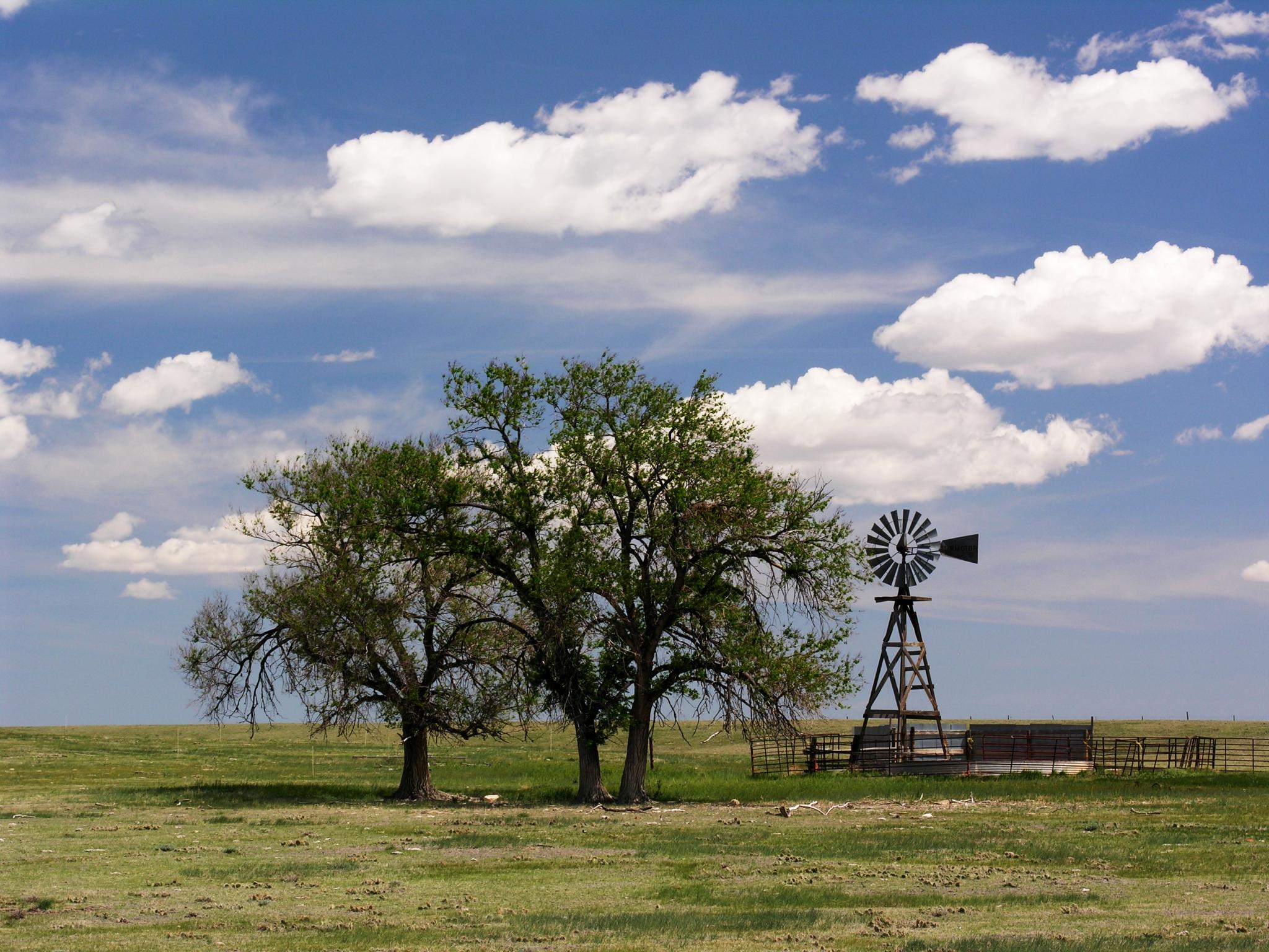 Windmills still dot the landscape in this arid landscape. 