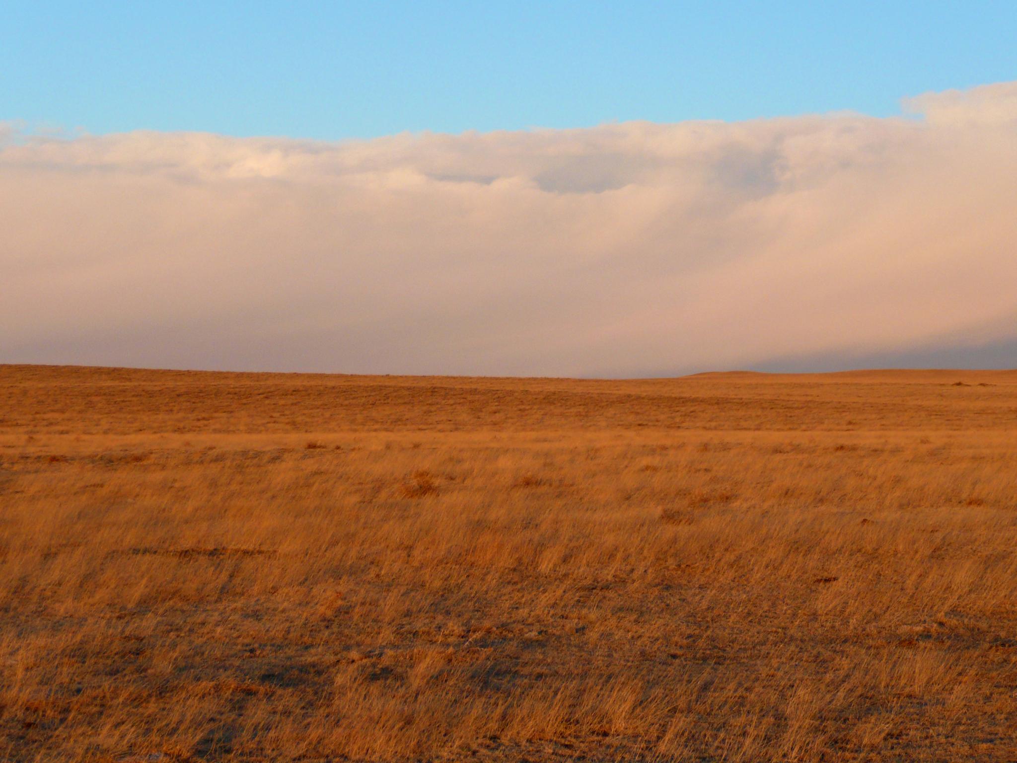 A bank of clouds roll across the grasslands